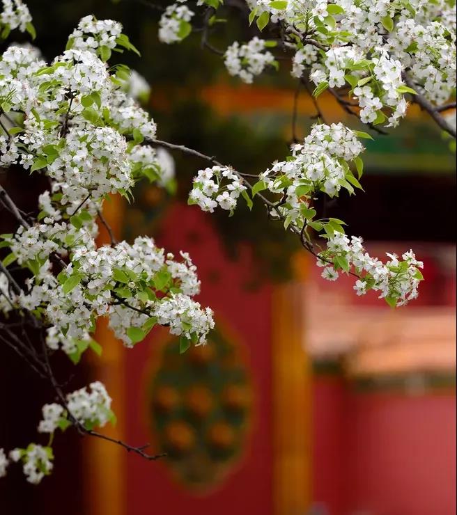 瓦力游戏| 首页 -瓦力出品,必属精品
