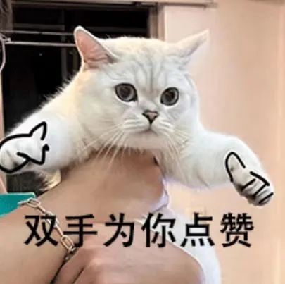 瓦力游戏| 首页 -瓦力出品,必属精品