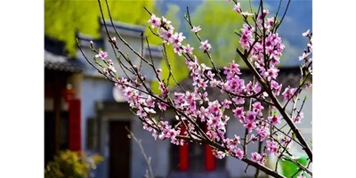 阳春三月，瓦力游戏精机一大波展会即将来袭，您筹备好了吗？